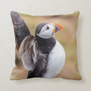 Almohada del frailecillo
