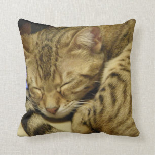 Almohada del gato de Bengala