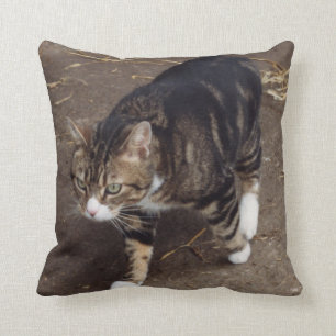 almohada del gato de tabby