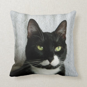Almohada del gato del smoking de la travesura