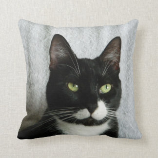 Almohada del gato del smoking de la travesura