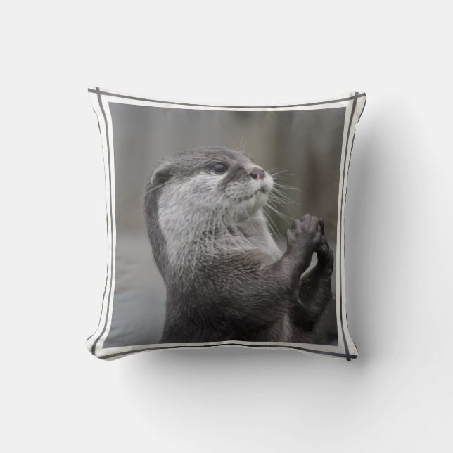 Almohada del genio de la nutria (Anverso)