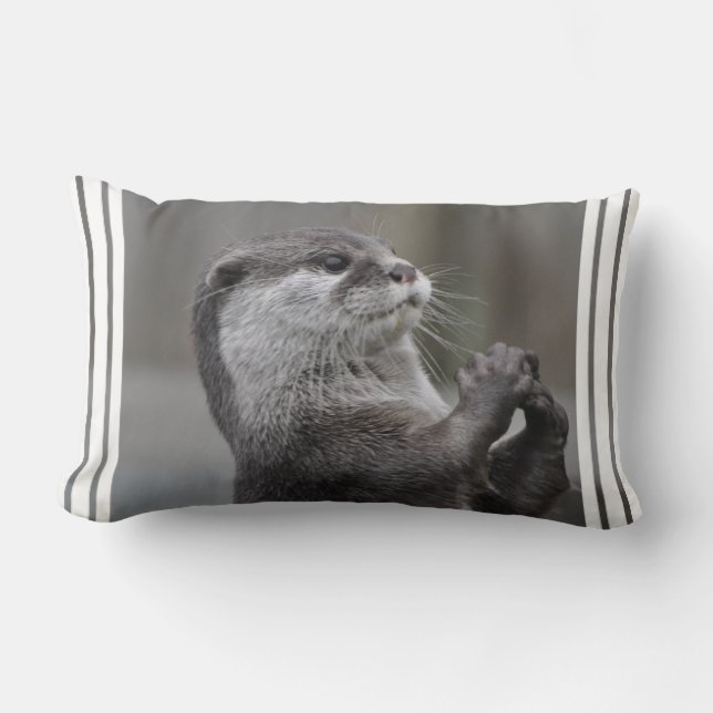 Almohada del genio de la nutria (Anverso)