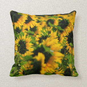 Almohada del girasol
