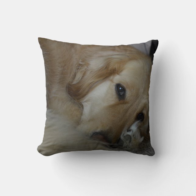 Almohada del golden retriever (Anverso)
