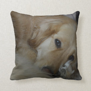 Almohada del golden retriever