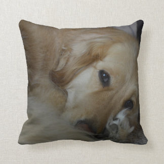 Almohada del golden retriever