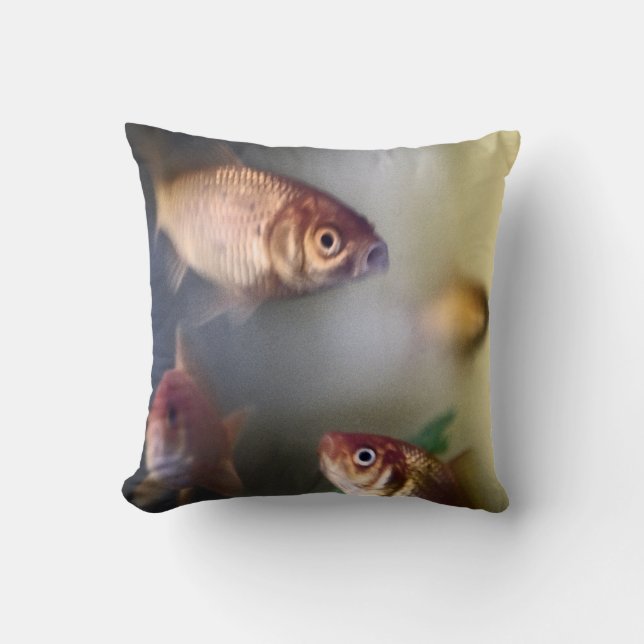Almohada del Goldfish (Anverso)