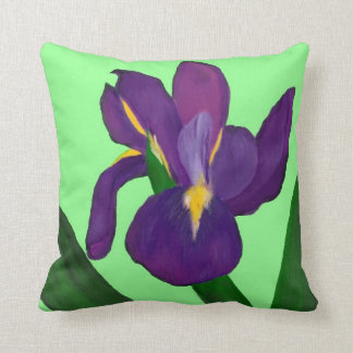 Almohada del iris