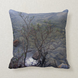 Almohada del lago 2 mirror