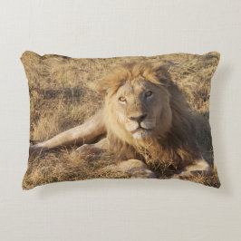 Almohada del león