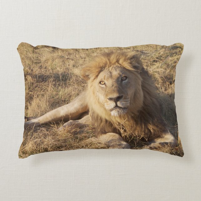 Almohada del león (Anverso)