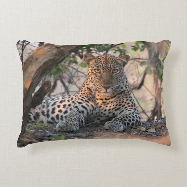 Almohada del leopardo (Anverso)