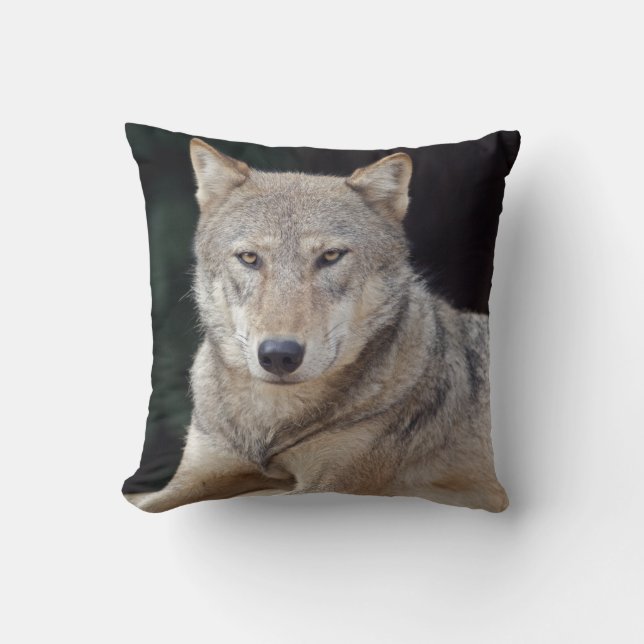 Almohada del Lobo Gris (Anverso)