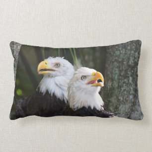 Almohada del Lumbar de Eagle calvo
