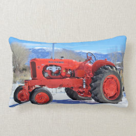 Almohada del Lumbar de la escena del invierno del
