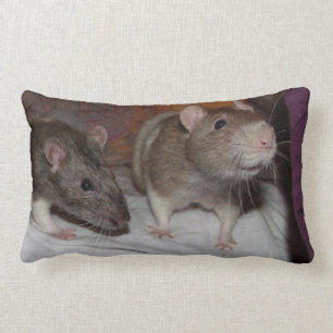 almohada del lumbar de las ratas