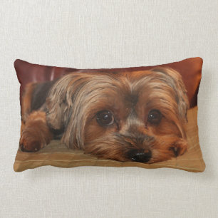 Almohada del Lumbar de Yorkshire Terrier
