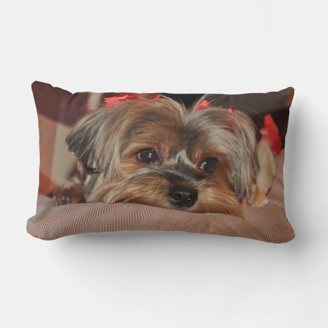 Almohada del Lumbar del perrito de Yorkshire (Anverso)
