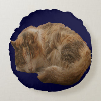 Almohada del mascota de la broma del gatito el