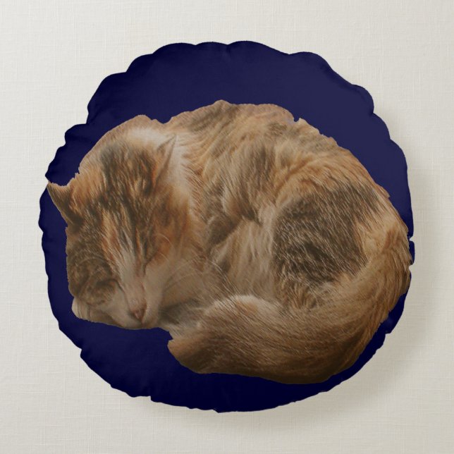 Almohada del mascota de la broma del gatito el (Anverso)