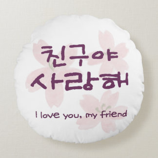 Almohada del Mejor Amigo Coreano
