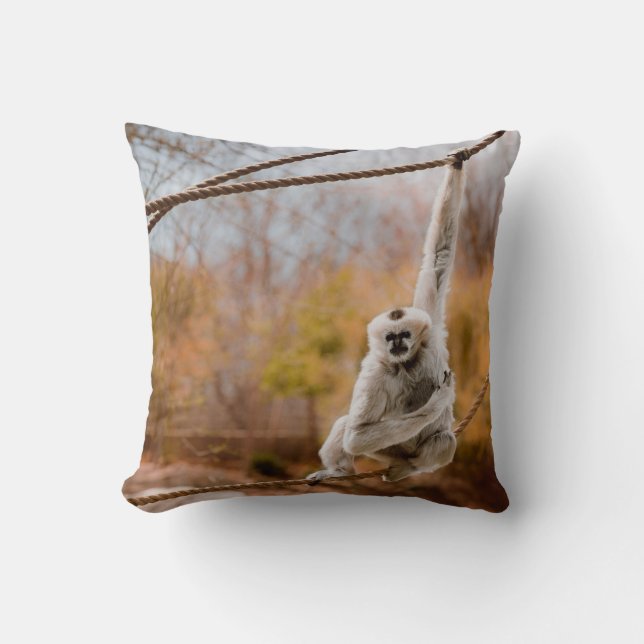 Almohada del mono (Anverso)