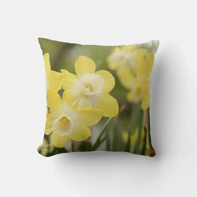 Almohada del narciso (Anverso)