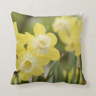 Almohada del narciso