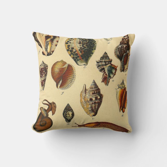 Almohada del océano de la vieja cascara de inviern (Anverso)