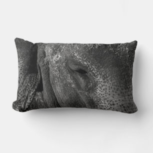 Almohada del ojo del elefante