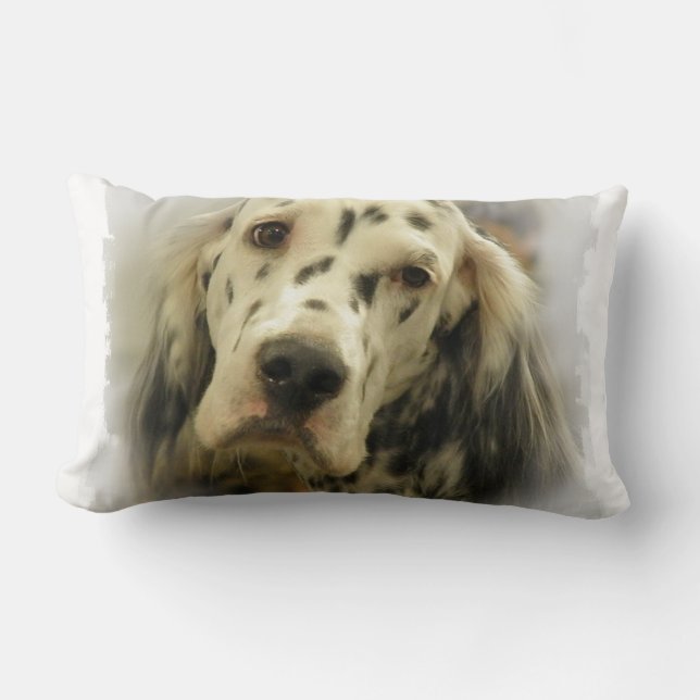 Almohada del organismo inglés (Anverso)