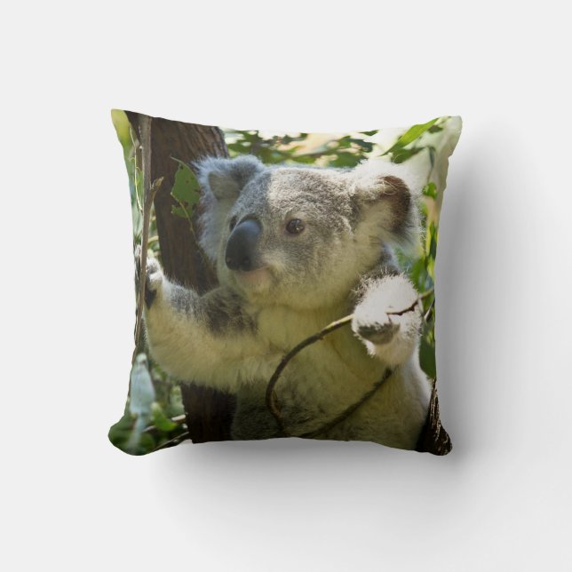 Almohada del oso de Koala (Anverso)