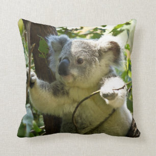 Almohada del oso de Koala