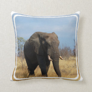 Almohada del Pachyderm