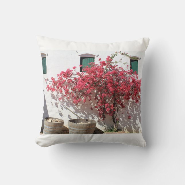 Almohada del paisaje rural de Ciudad del Cabo (Anverso)