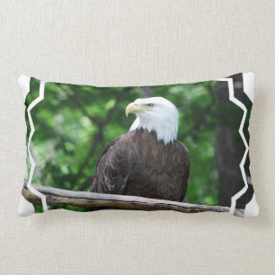 Almohada del pájaro de Eagle calvo