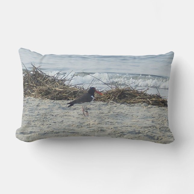 Almohada del pájaro de la lavandera en la playa (Anverso)
