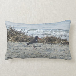 Almohada del pájaro de la lavandera en la playa