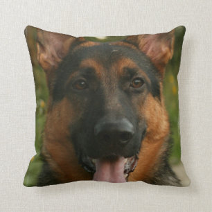 Almohada del pastor alemán