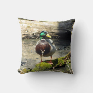Almohada del pato malabar (macho)