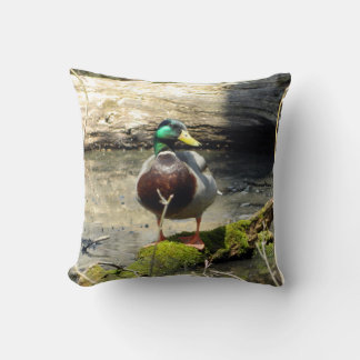 Almohada del pato malabar (macho)