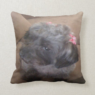 almohada del perrito