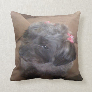 almohada del perrito