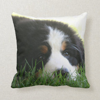 Almohada del perrito de Bernese