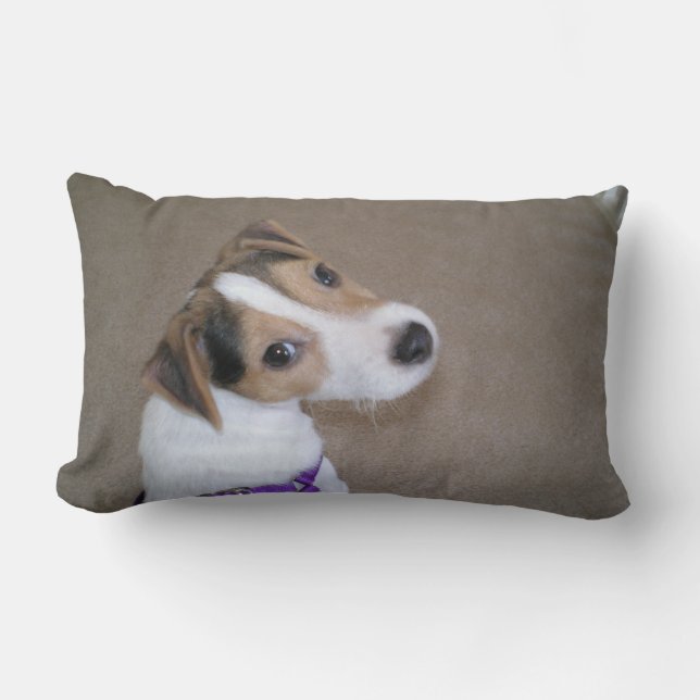 Almohada del perrito de Jack Russell (Anverso)