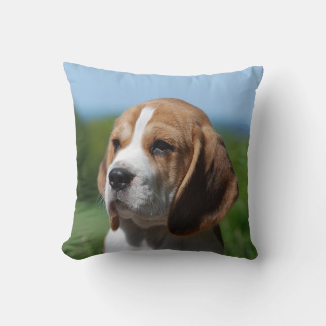 Almohada del perrito del beagle (Anverso)