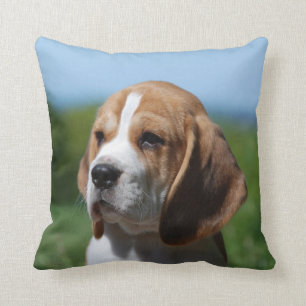 Almohada del perrito del beagle