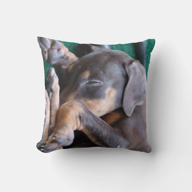 Almohada del perrito del Pinscher del Doberman (Anverso)