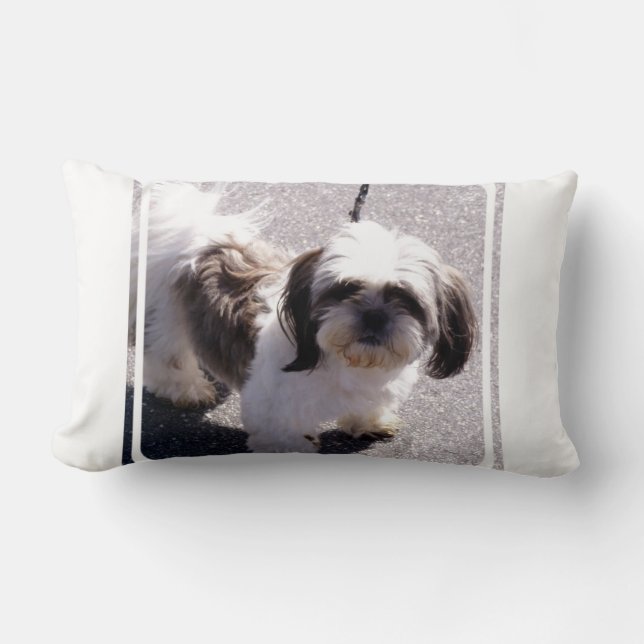 Almohada del perrito del Tsu de Shih (Anverso)